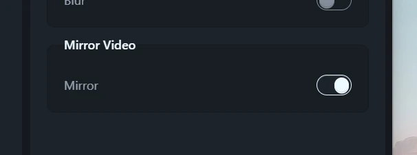 The mirror camera toggle