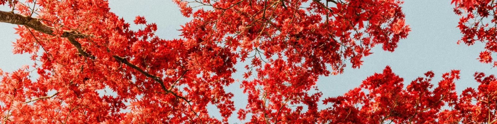 September 2025 Update