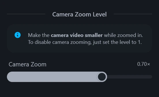 Camera zoom level controls