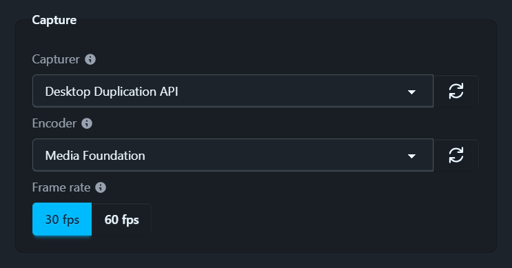 The Capture group with its Capturer, Encoder and Frame rate controls